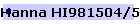 Hanna HI981504/5